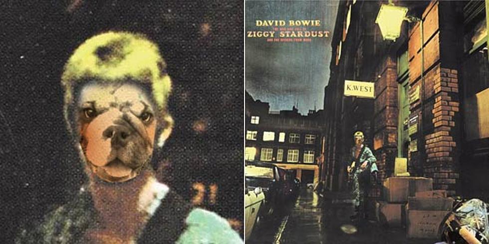 New David Bowie App Lets Anybody Become ‘Ziggy Stardust’
