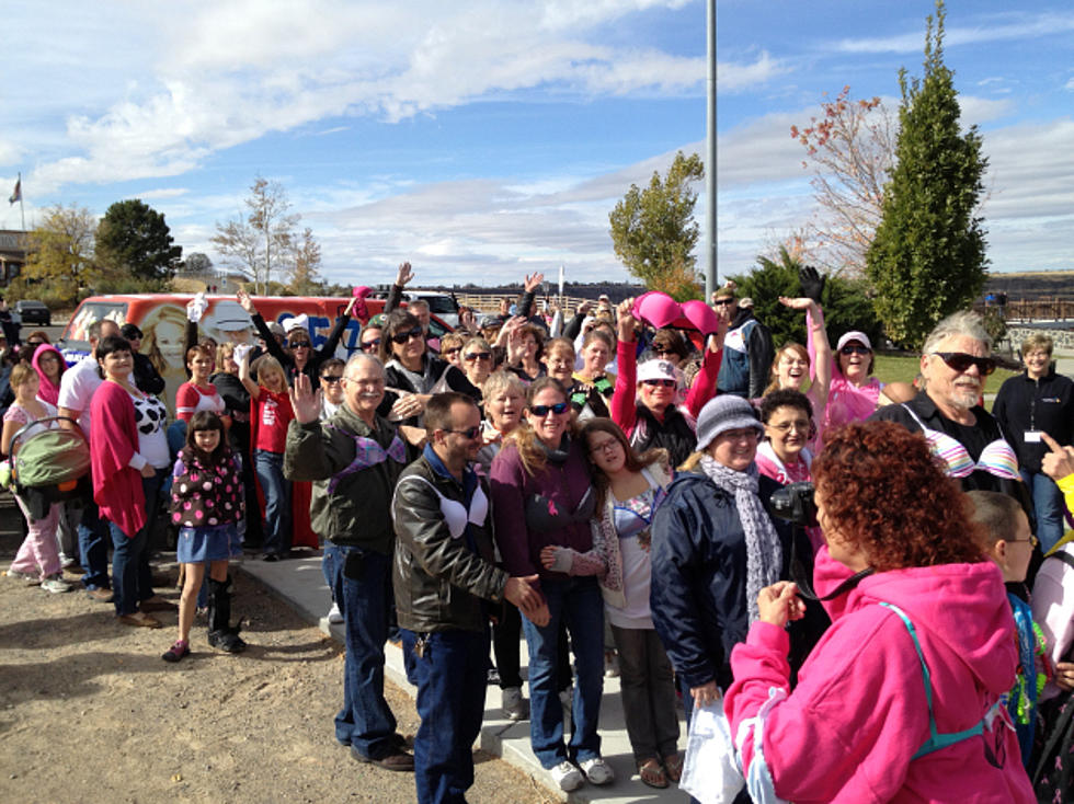 Twin Falls Breast Cancer Survivors to Lead Bras Across The Canyon [AUDIO]