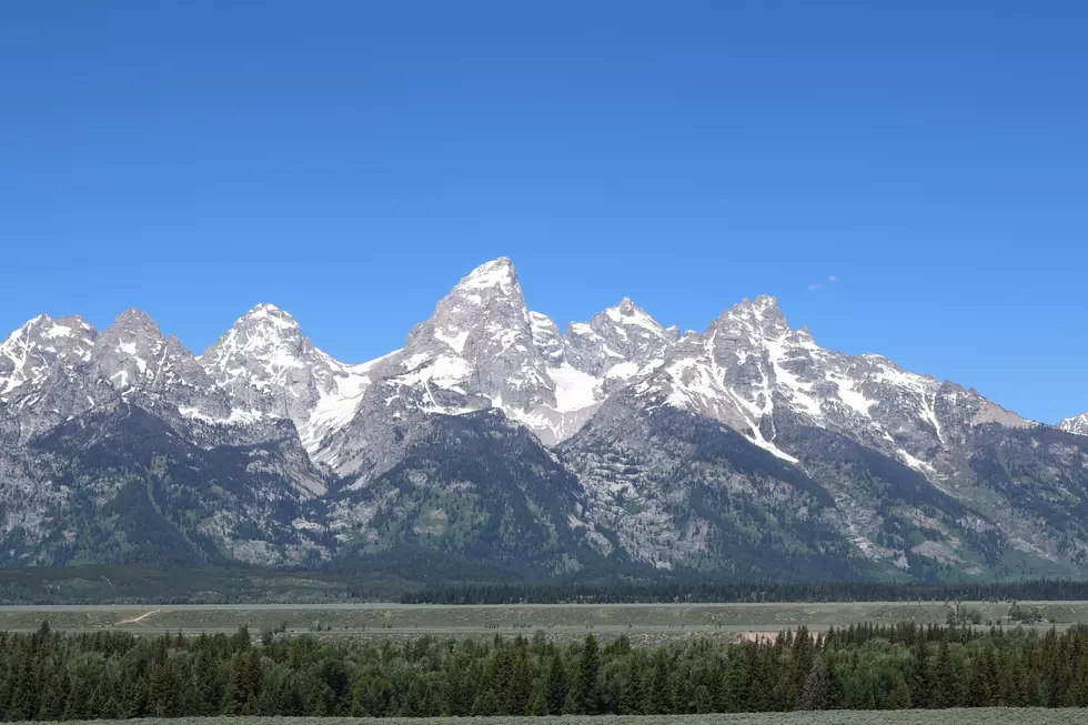 Deadly Wildlife Disease Emerges in Grand Teton National Park