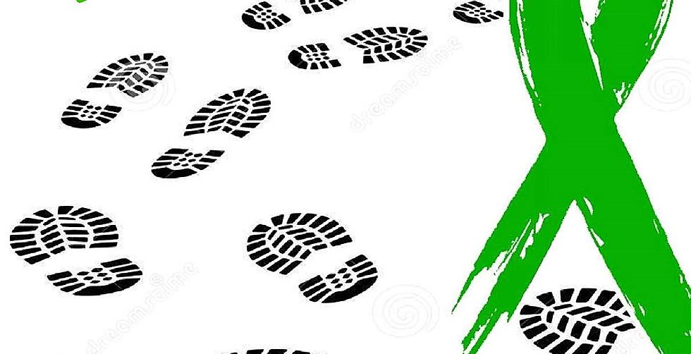 2nd Annual Tread On Cancer Fun Run/Walk Set For July 4 In Gooding