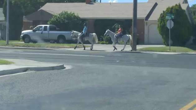 Did You See What Was Traveling Down Addison Avenue In Twin Falls?