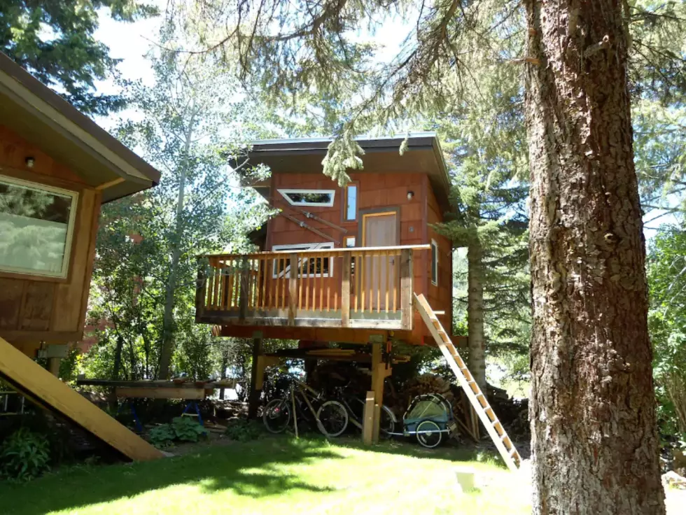 Wanna Stay in a Ketchum Airbnb Tree House? (PHOTOS)