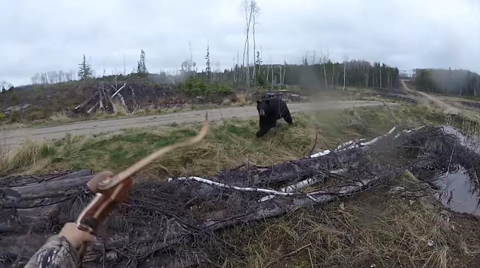 Bow Hunter Gets Charged By a Black Bear and Lives to Tell About It (WATCH)