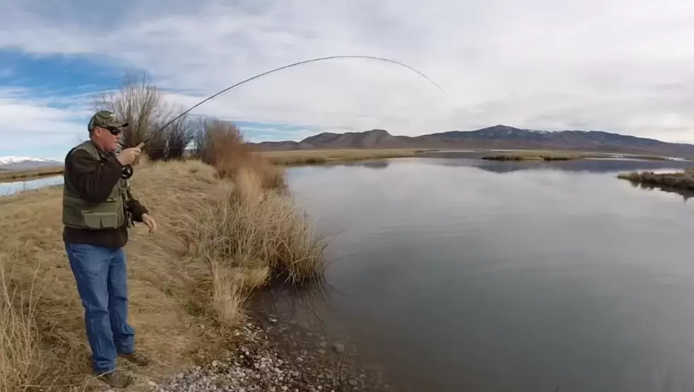 If You Love Fly Fishing, You Apparently Need to Go to Elko
