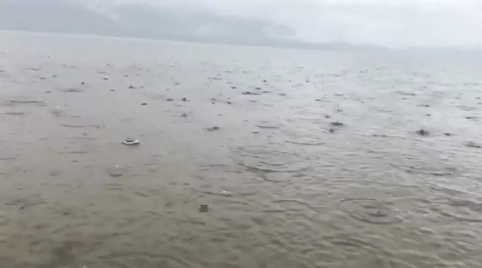 Someone Made a Video of Idaho Rain in Slow Motion for No Reason Whatsoever (WATCH)