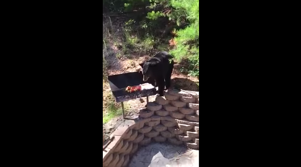 This is Why You Don’t Invite a Bear to your Idaho BBQ (WATCH)