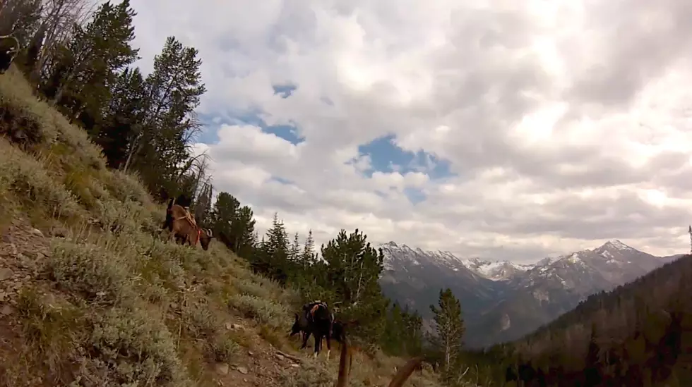 Yes, in Idaho, We Put GoPro’s on Goats (WATCH)