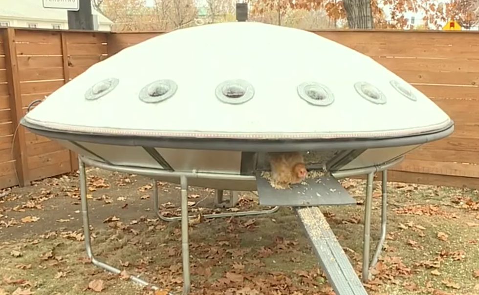 Idaho Family Has Created a Chicken Coop UFO