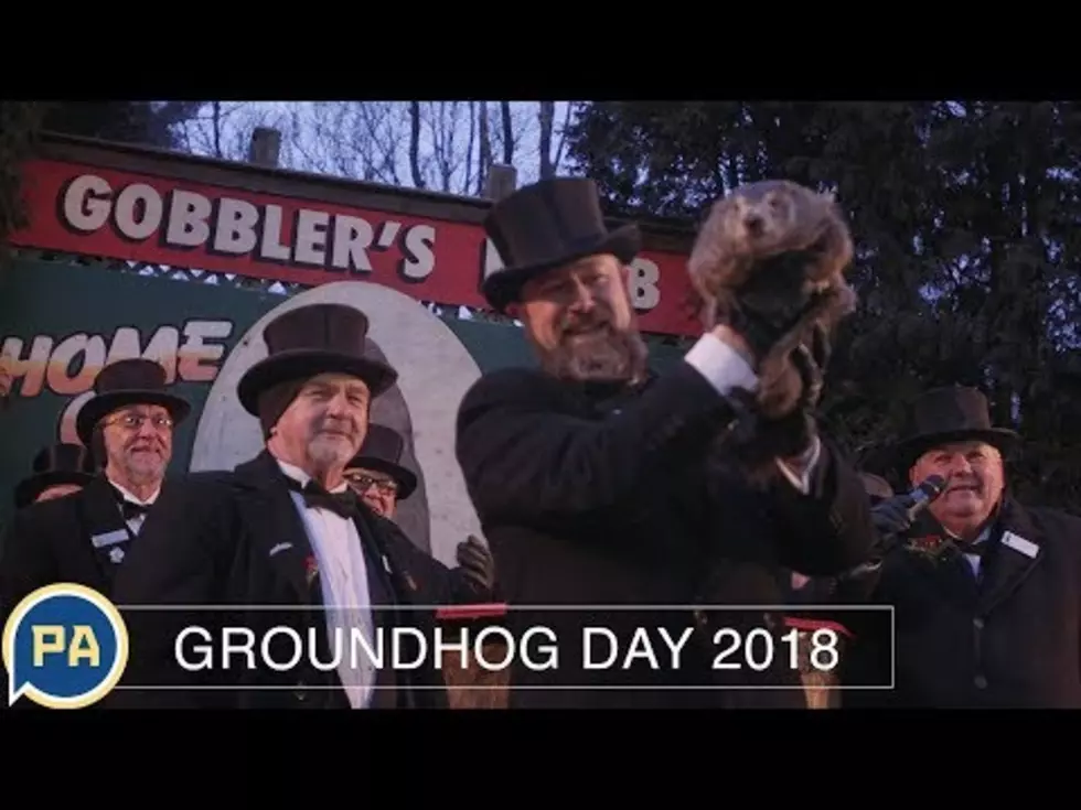 Happy Groundhog Day Twin Falls! The Prediction Is In