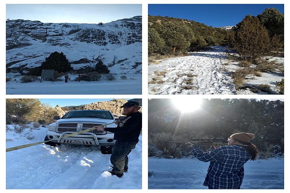 A Stuck Truck, Fried Chicken And Shots Fired; Our Idaho Tree Hunt