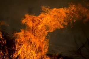 Fire Authorities Plan Prescribed Forest Burn
