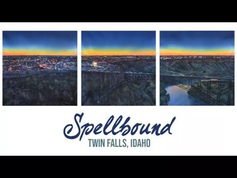Must Watch: Painter Creates Stunning Watercolor Of Twin Falls
