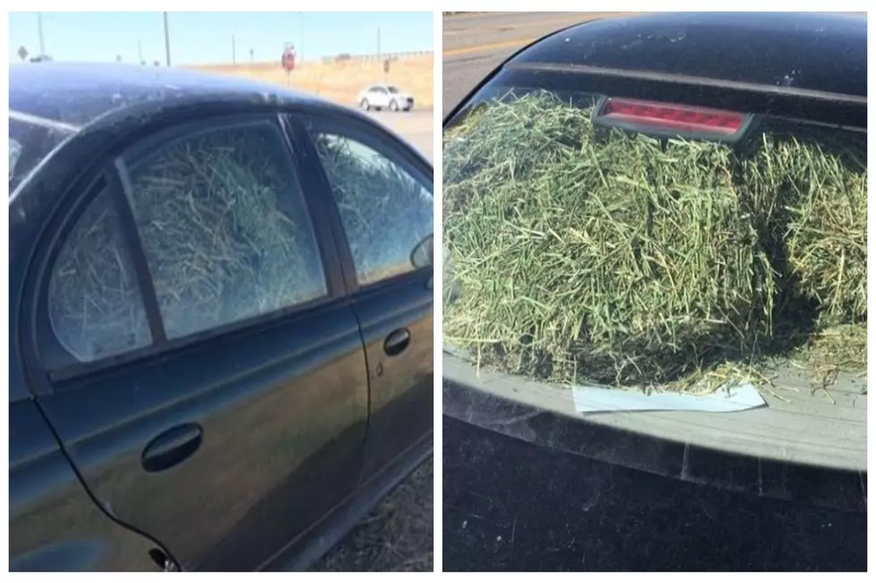 Twin Falls Police Share Pictures Of How To Not Transport Hay