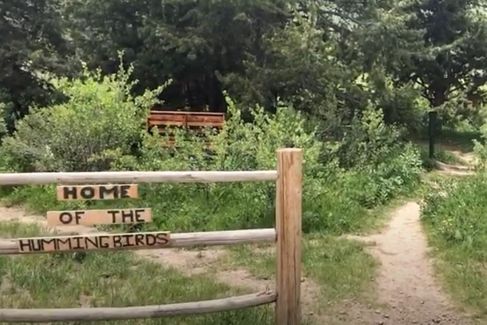 VIDEO: Take A Look At Southern Idaho’s Hummingbird Trail