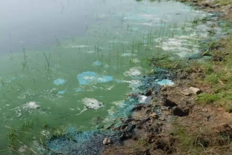 It’s Time To Be Mindful Of Poisionous Magic Valley Algae Blooms