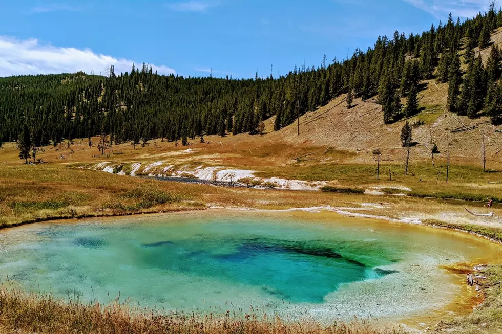 Opinion: Yellowstone Park Seeks To Foolishly Improve Cell Service