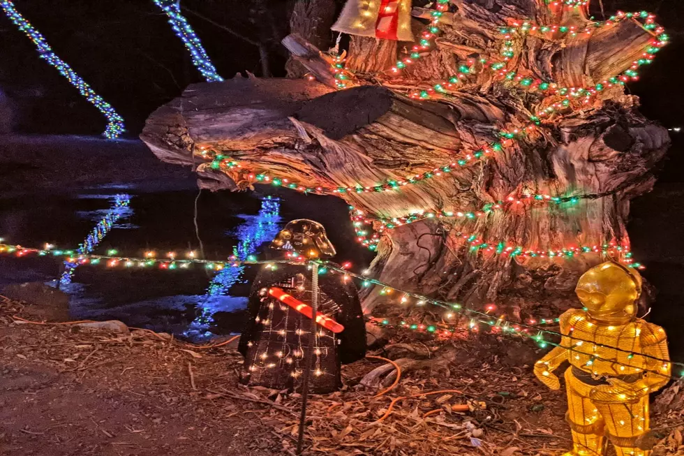 Photos: Magic Of Hansen Rock Creek Lights Lies In The Background