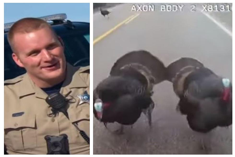 FUNNY VIDEO: Idaho Cop Pulls Baton On Two Tormenting Turkeys
