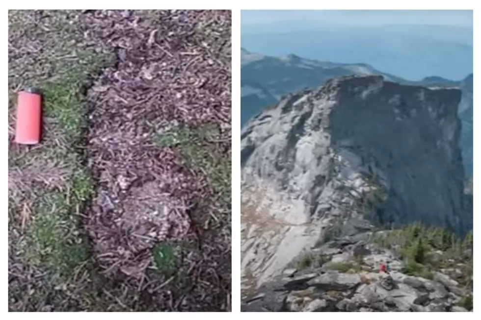 Bigfoot Or Larry Bird? Size 17 Imprint Archived On Idaho Mountain