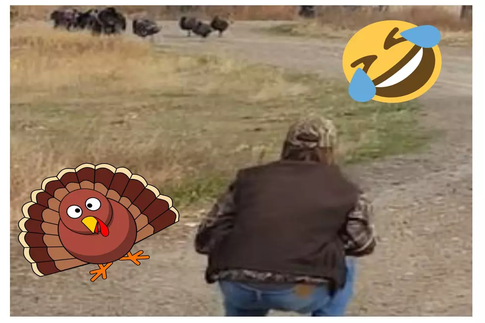 WATCH: ‘Turkey Whisperer’ Shows Idahoans How To Coax Them