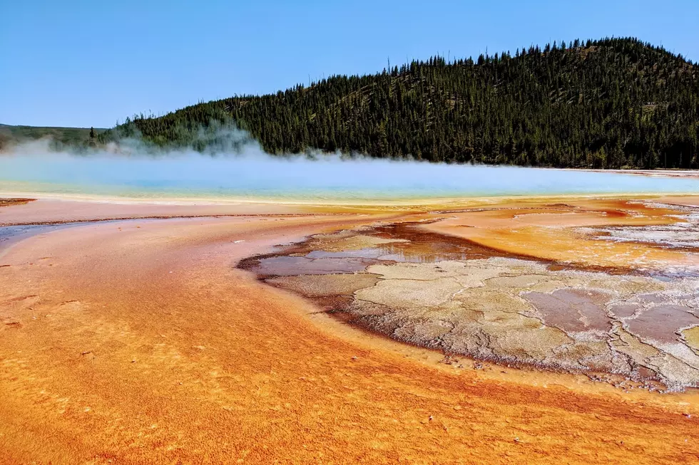 DNA Identifies Human Foot Found Drifting In Yellowstone Spring