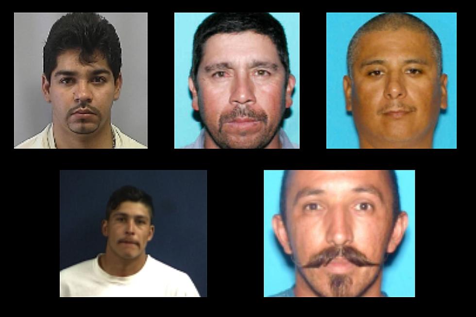 The Faces Of Most Wanted Sex Offenders In Southern Idaho
