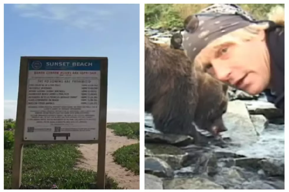 ‘Grizzly Man’ Went From California Junkie To Legend Among Bears