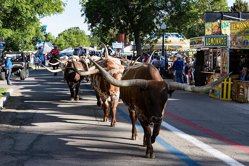 Here’s Everything You Need To Know About The 100th Greeley Stampede