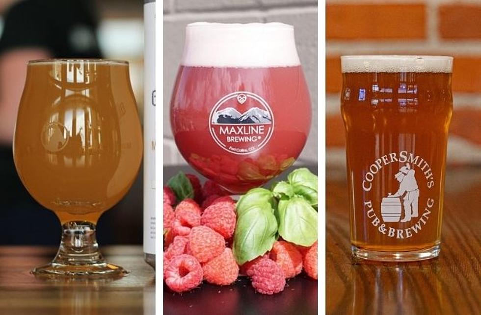 Friday Afternoon Club: 5 NoCo Beers You Need to Try This Summer