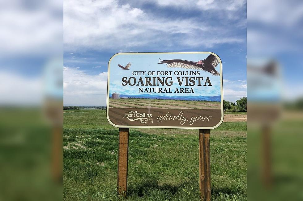 Visit Soaring Vista: The Front Range’s Newest Natural Area