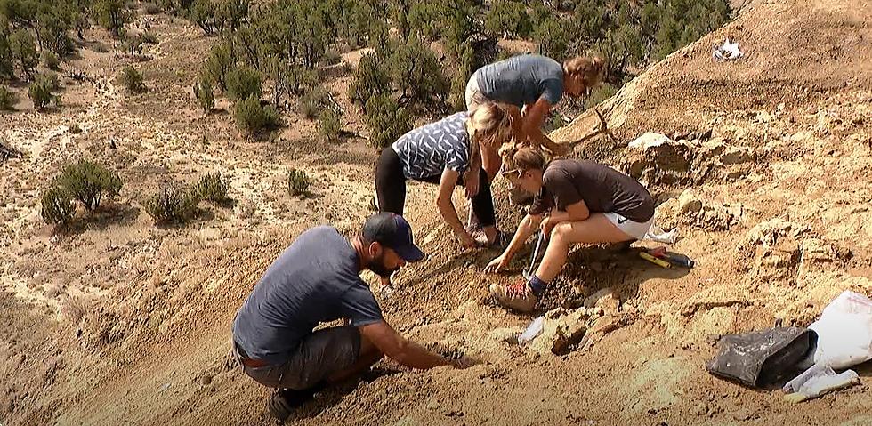 Colorado Students Find Super Rare Dinosaur Fossil in Utah