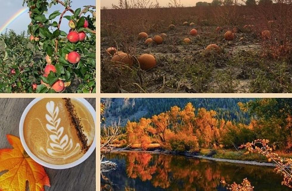 7 Reasons Why Northern Colorado Is the Best Place to Live in the Fall