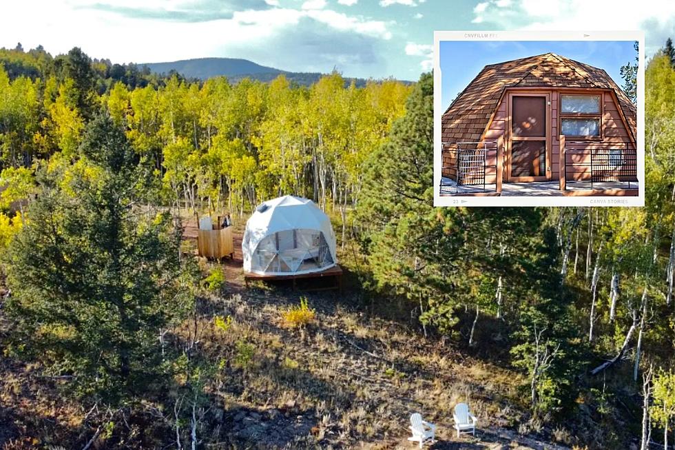 Plan an Overnight Forest Adventure in a Colorado Camping Dome