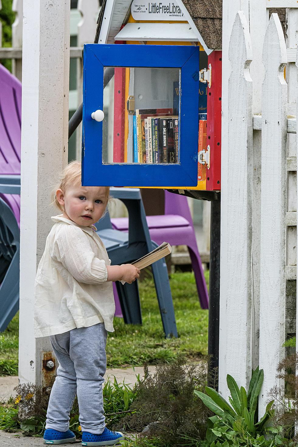 Where to Find All of the Little Free Libraries in Fort Collins