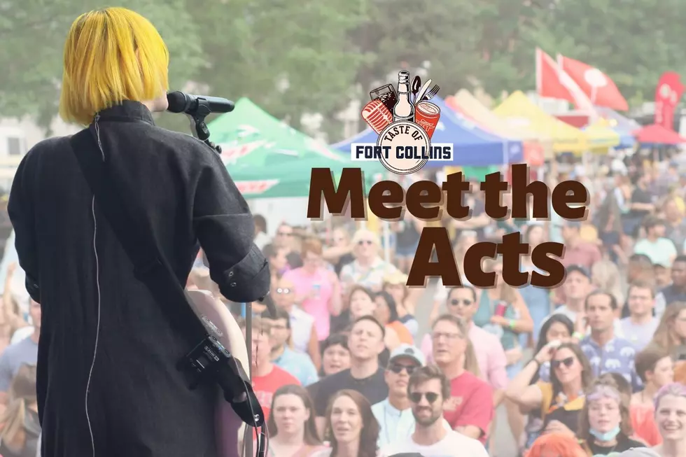 Meet the Local Entertainers for This Year's Taste of Fort Collins