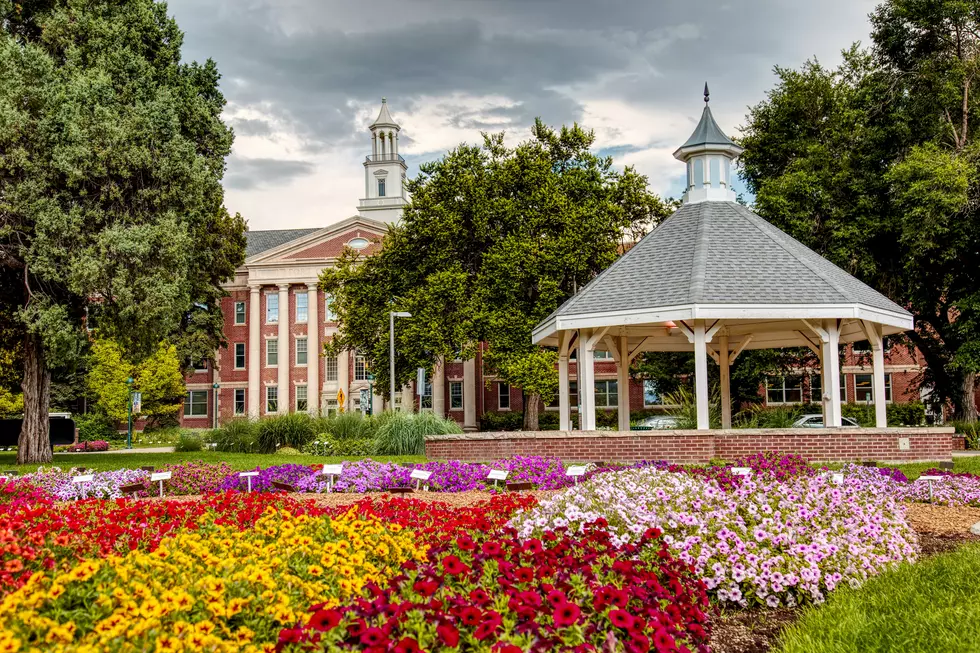 25 Reasons Why Residents Love Living in Fort Collins