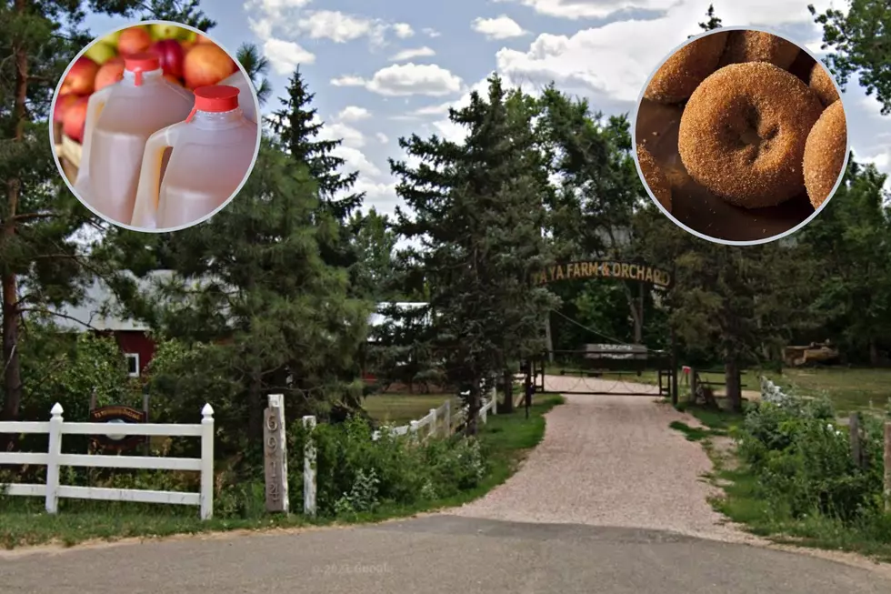 Get Your Fall Fix at this Northern Colorado Farm and Orchard