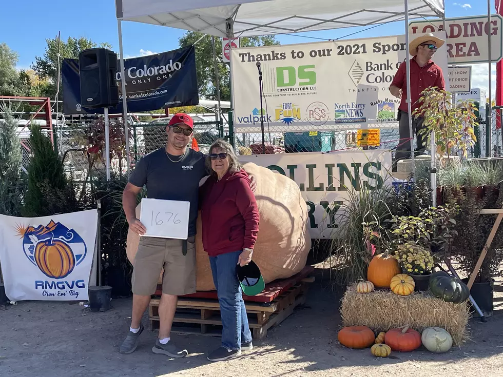 NoCo Business Spotlight: Don’t Miss Fort Collins Nursery’s Giant Pumpkin Weigh-Off
