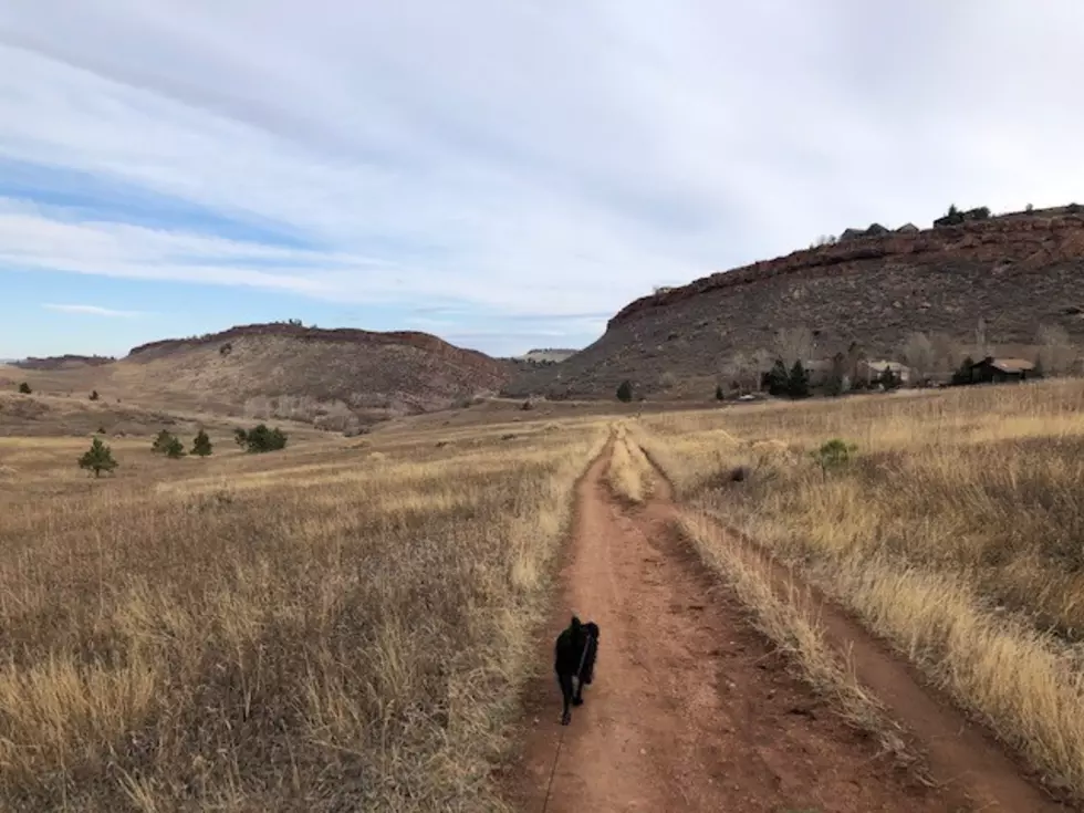 A New Trail in Fort Collins is Now Open to the Public