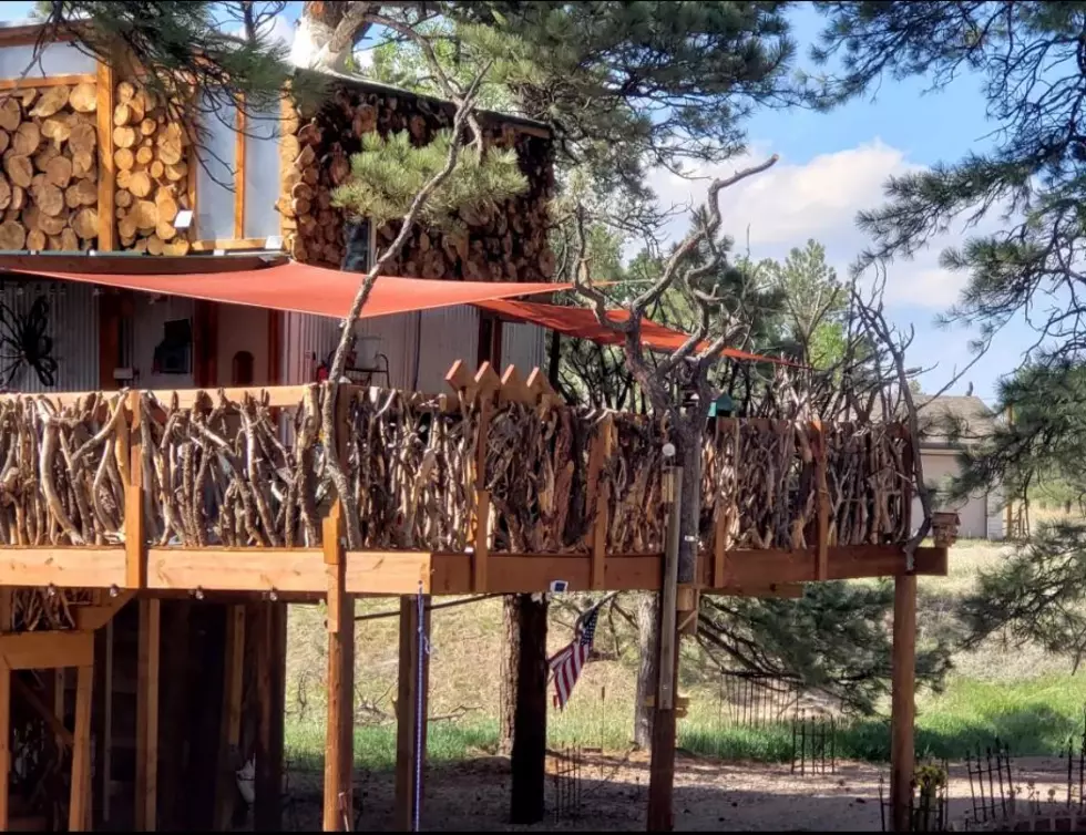 Enjoy the Comforts of Home at Colorado&#8217;s Rustic Treesort