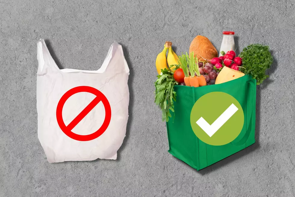 How Colorado Residents Are Reacting to the Statewide Plastic Bag Ban