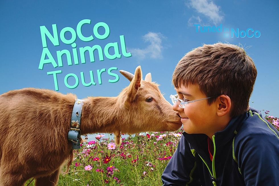 Join Luvin Arms Animal Sanctuary For a Tour This Month!