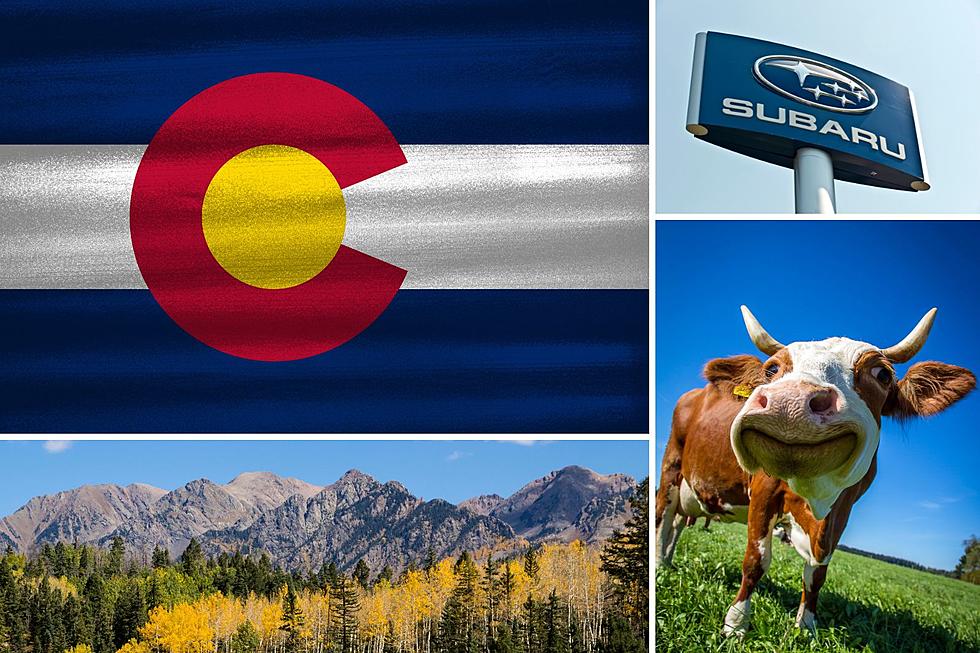25 Ways to Say You&#8217;re From Colorado Without Actually Saying It