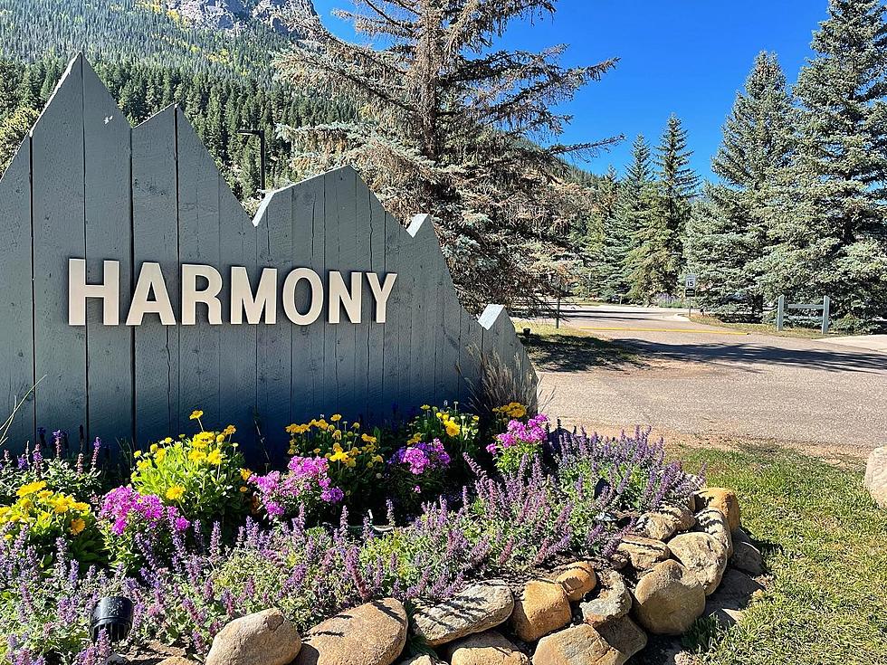 Chamber Member Spotlight: Find Sustained Recovery With Harmony Foundation