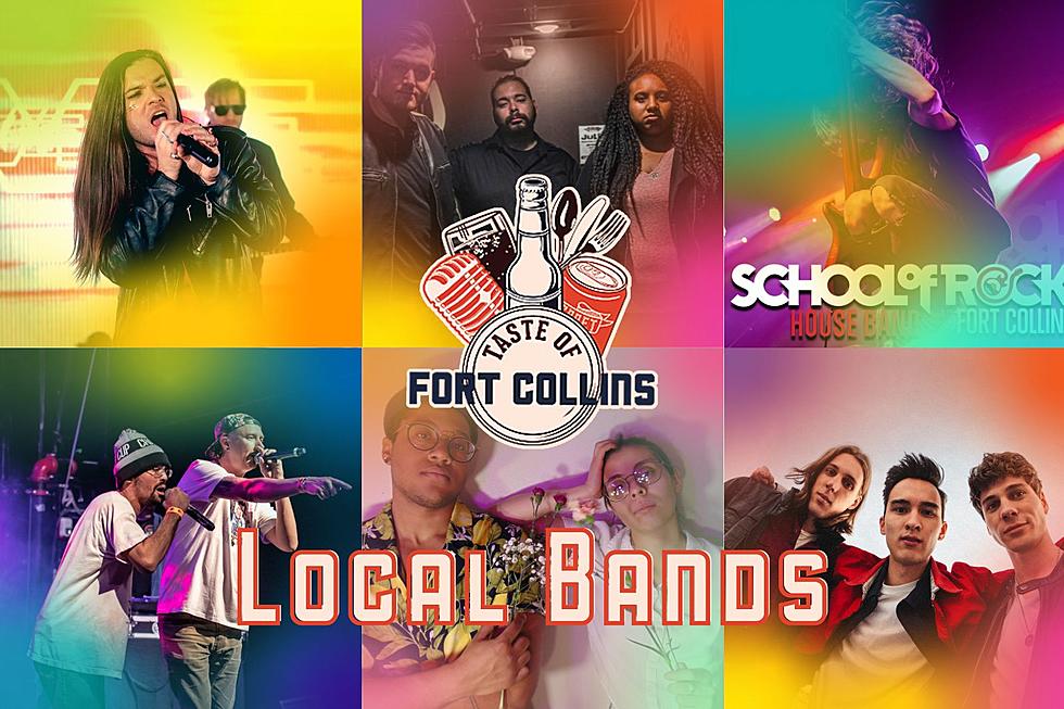 Meet the Local Bands at Taste of Fort Collins 2023