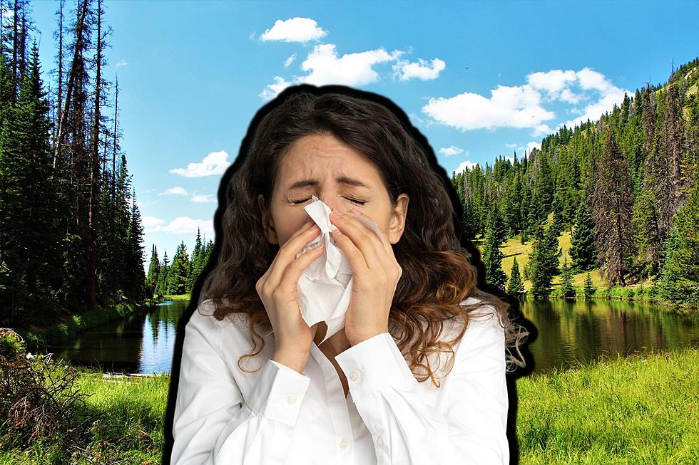 Need a Tissue? Colorado Ranks as One of the Worst States for Allergies