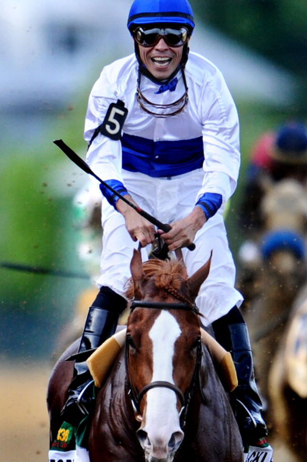 Shackleford Wins Preakness Stakes [VIDEO]