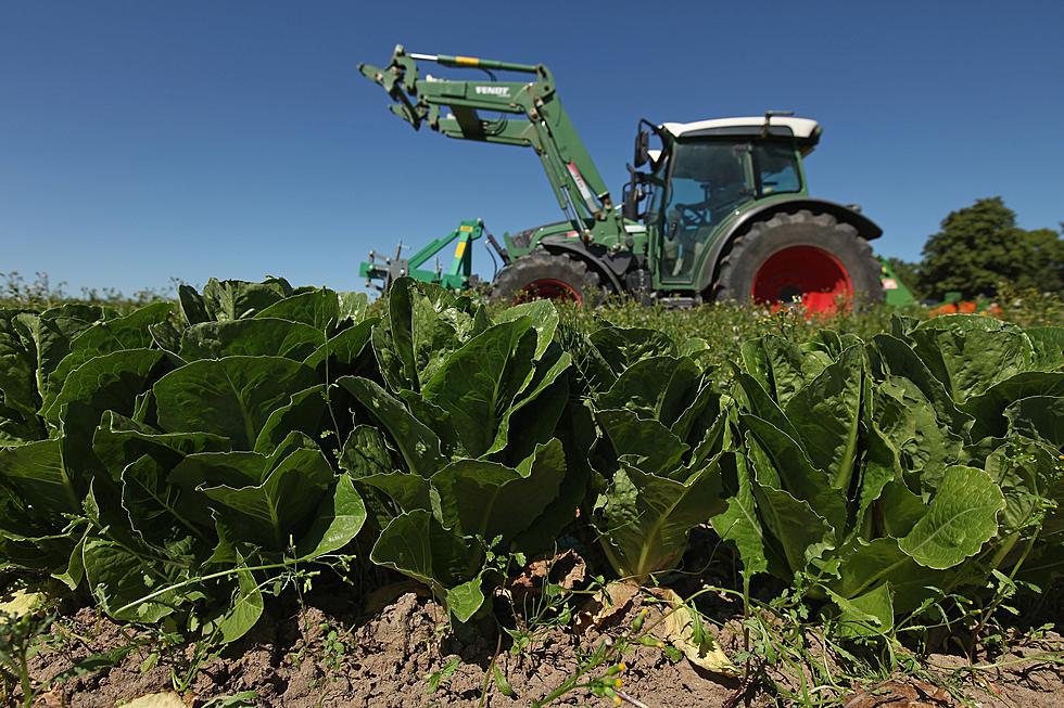 USDOT: No New Safety Regulations for Farmers [AUDIO]