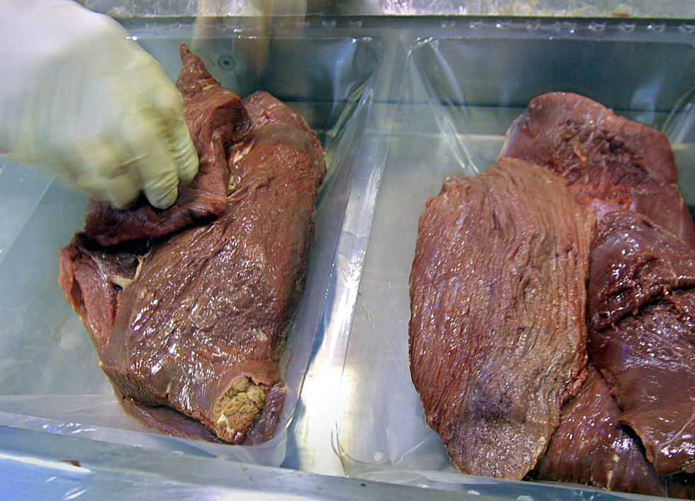 Restaurant Shut Down For Steak–Gross Alert!
