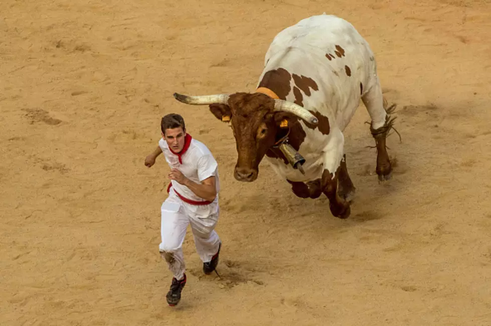The Running of the Bulls in Worland, Wyoming (Video)
